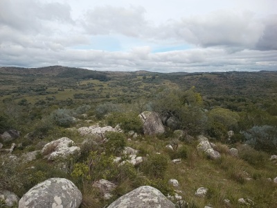 Campo en Venta en Aiguá, Maldonado