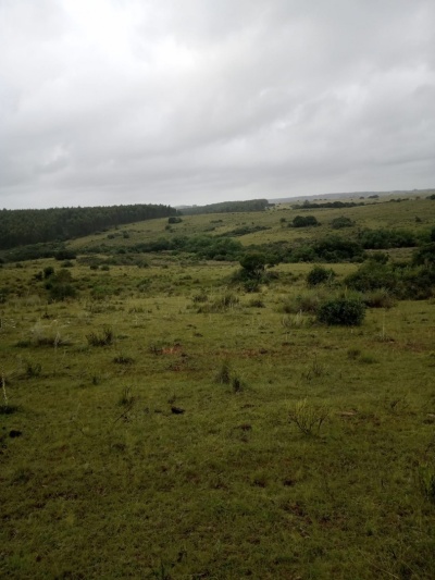Campo en Venta en Garzón , Maldonado