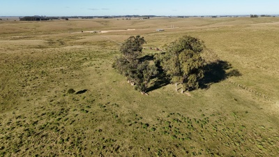 Campo en Venta en Garzón , Maldonado