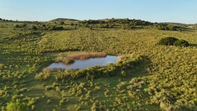 Campo en Venta en Garzón , Maldonado