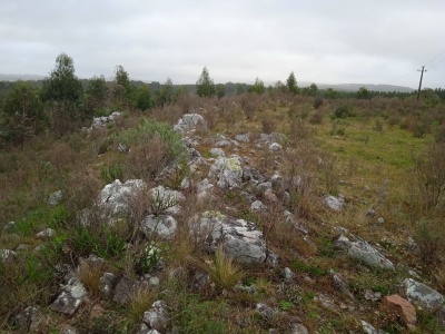 Chacra en Venta en Rocha, Rocha