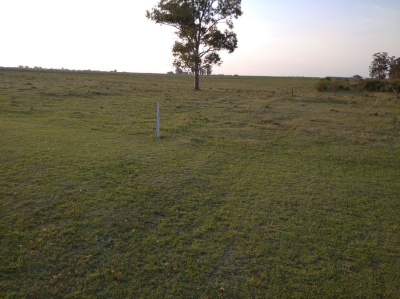 Chacra en Venta en Villa del Rosario, Lavalleja