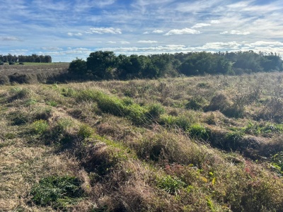 Chacra en Venta en Pantanoso del Sauce, Canelones