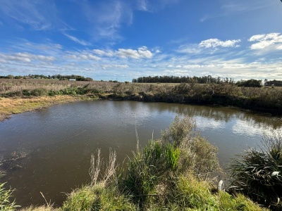 Chacra en Venta en Pantanoso del Sauce, Canelones