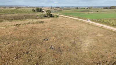 Chacra en Venta en Tapia, Canelones