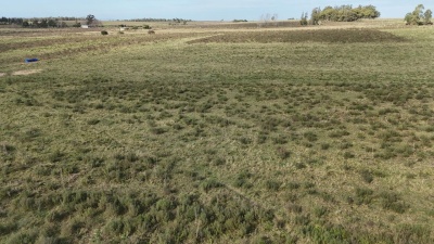 Campos y Chacras en Venta en Ombúes de Bentancor, Lavalleja