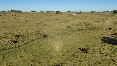 Chacra en Venta en Corte de la Leña, San Carlos, Maldonado