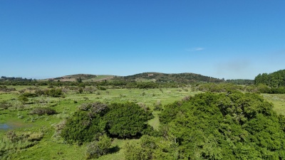 Chacra en Venta en San Carlos, Maldonado