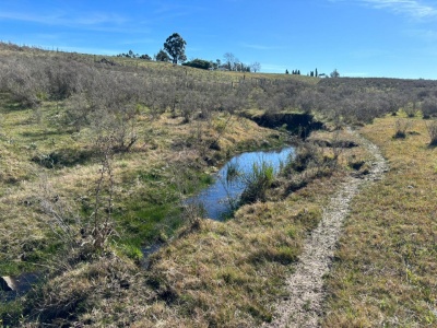 Chacra en Venta en Migues, Canelones