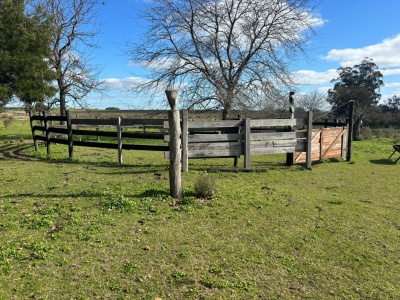 Campos y Chacras en Venta en Migues, Canelones