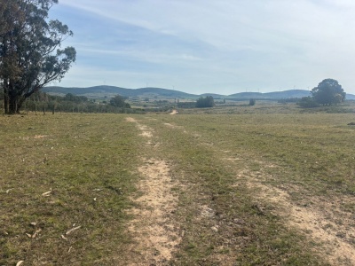 Chacra en Venta en San Carlos, Maldonado
