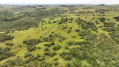 Campo en Venta en Minas, Lavalleja