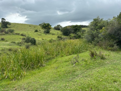 Campo en Venta en Carape, Maldonado