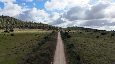 Campo en Venta en Minas, Lavalleja