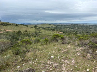 Chacra en Venta en Paso de los Troncos, Minas, Lavalleja