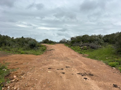 Chacra en Venta en Paso de los Troncos, Minas, Lavalleja