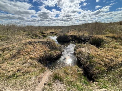 Campo en Venta en Barrancas, Canelones