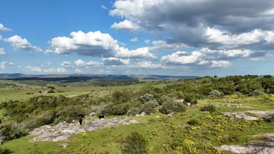 Campo en Venta en Las Cañas, Maldonado