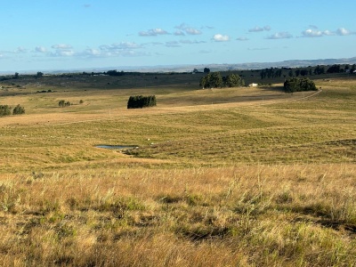 Chacra en Venta en Cerro Pelado, Lavalleja