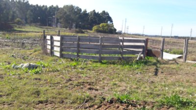 Terrenos en Venta en Migues, Canelones