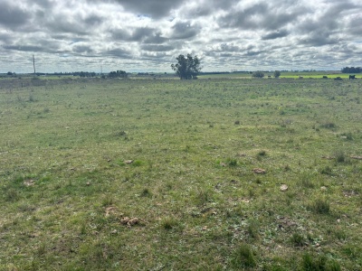 Chacra en Venta en San Bautista, Canelones