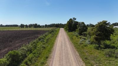 Campos y Chacras en Venta en Migues, Canelones