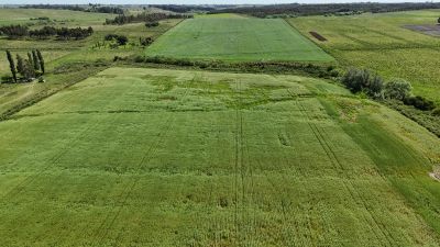 Campos y Chacras en Venta en Migues, Canelones