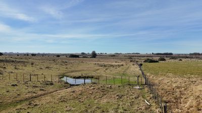 Campos y Chacras en Venta en Corte De La Leña, Maldonado