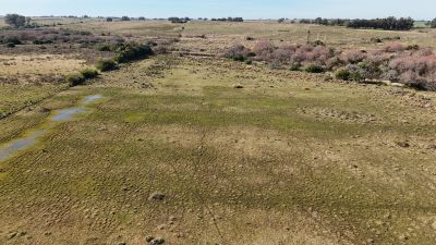 Campos y Chacras en Venta en Corte De La Leña, Maldonado