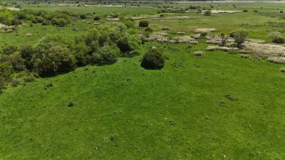 Campos y Chacras en Venta en Soca, Canelones