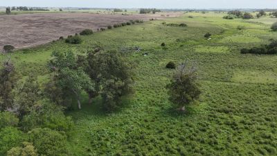 Campos y Chacras en Venta en Canelones, Canelones