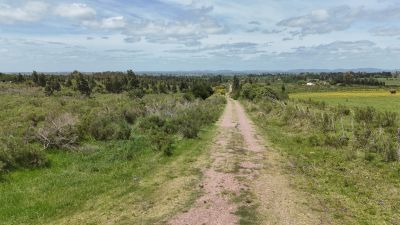 Campos y Chacras en Venta en Montes, Canelones