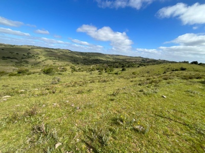 Campos y Chacras en Venta en Minas, Lavalleja