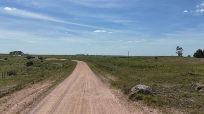 Campos y Chacras en Venta en Polanco, Lavalleja