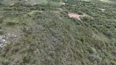 Chacra en Venta en Paso De Los Troncos, Lavalleja