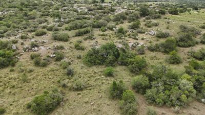 Campo en Venta en Cerro Pelado, Lavalleja