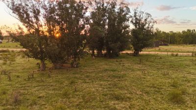 Campos y Chacras en Venta en pedernal, Canelones, Canelones