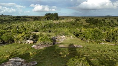 Campos y Chacras en Venta en Paso De Los Troncos, Lavalleja