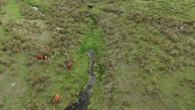 Campos y Chacras en Venta en Migues, Canelones