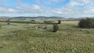Campos y Chacras en Venta en San Carlos, Maldonado