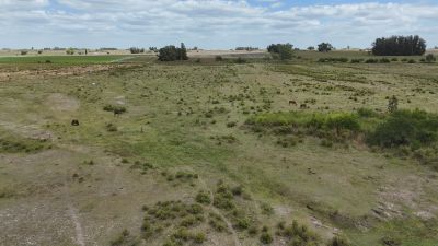 Campos y Chacras en Venta en Ombúes de Bentancor, Lavalleja
