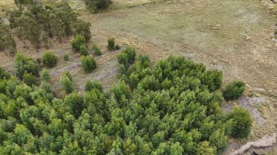 Campos y Chacras en Venta en Capilla De Cella, Canelones