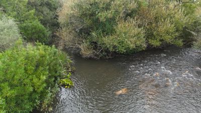 Campos y Chacras en Venta en Pueblo Edén, Maldonado
