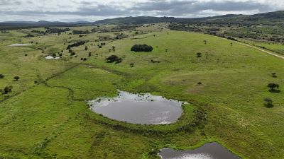 Campos y Chacras en Venta en Pueblo Edén, Maldonado