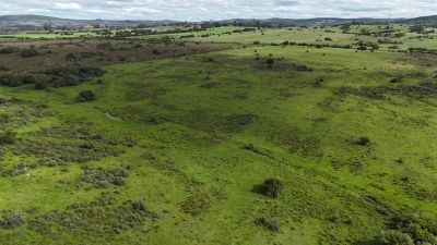 Campos y Chacras en Venta en Pueblo Edén, Maldonado