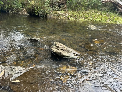 Campos y Chacras en Venta en Minas, Lavalleja