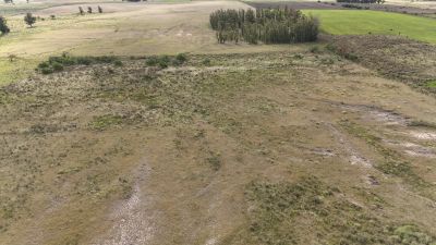 Campos y Chacras en Venta en Tala, Canelones