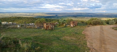 Campos y Chacras en Venta en Los Talas, Maldonado