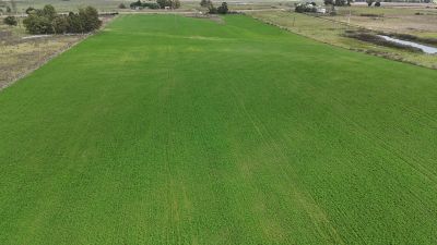 Campos y Chacras en Venta en Migues, Canelones