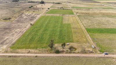 Campos y Chacras en Venta en Tala, Canelones